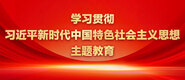 www,520.COm操逼学习贯彻习近平新时代中国特色社会主义思想主题教育_fororder_ad-371X160(2)